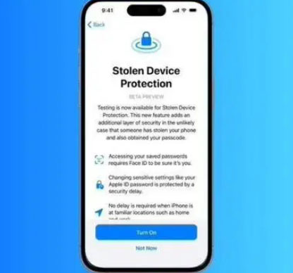 岭东苹果授权维修店分享被盗设备保护功能开启方法 