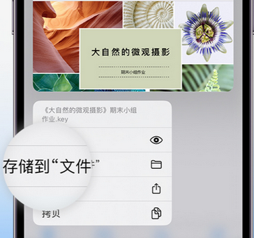 岭东apple维修中心分享iPhone文件应用中存储和找到下载文件