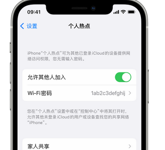 岭东apple服务站点分享iPhone上个人热点丢失了怎么办 