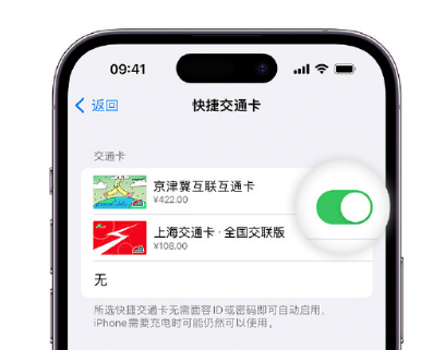 岭东apple维修点分享iPhone上更换Apple Pay快捷交通卡手绘卡面 