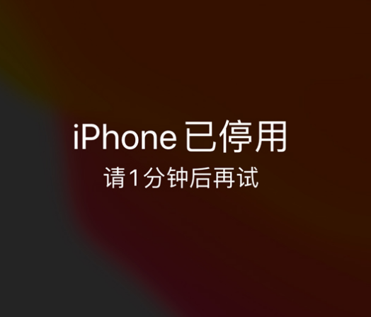 岭东苹果手机维修分享:iPhone 显示“不可用”或“已停用”怎么办？还能保留数据吗？ 