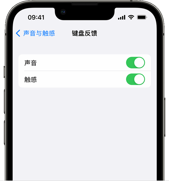 岭东苹果14维修店分享如何在 iPhone 14 机型中使用触感键盘 