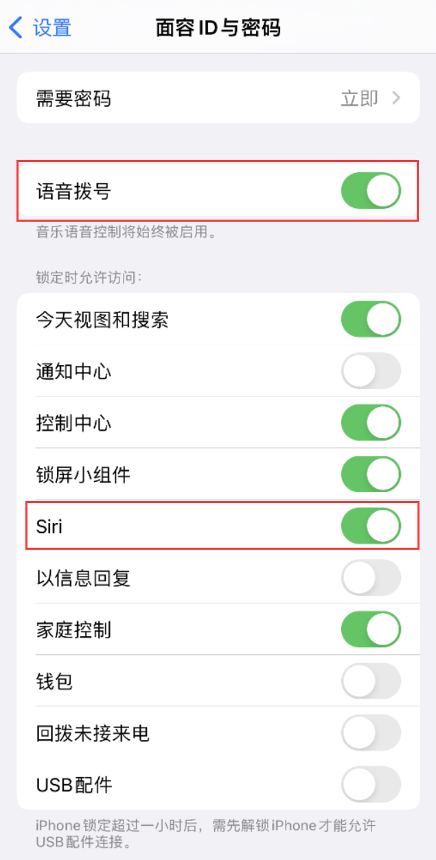 岭东苹果维修网点分享不解锁 iPhone 的情况下通过 Siri 拨打电话的方法 