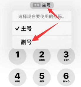 岭东苹果14维修店分享iPhone 14 Pro Max使用副卡打电话的方法 