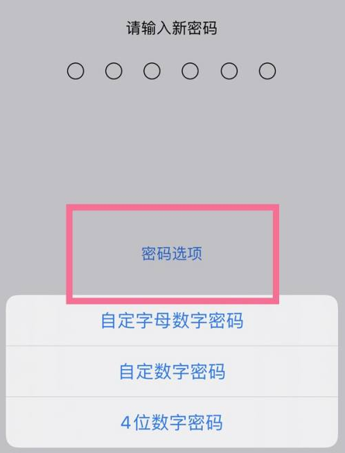 岭东苹果14维修分享iPhone 14plus设置密码的方法 