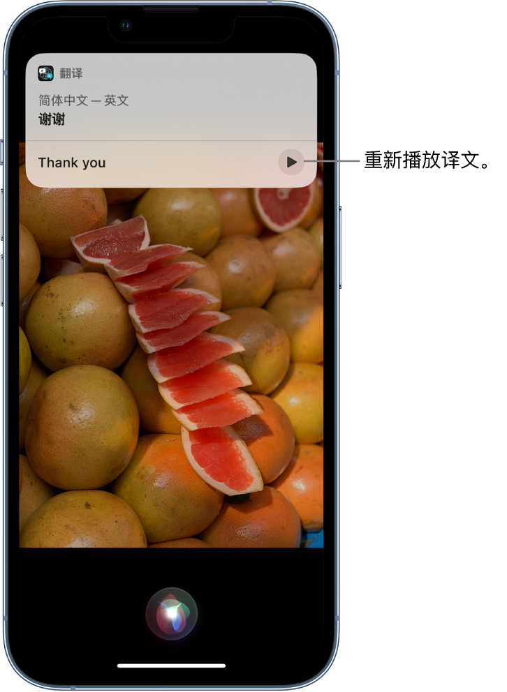 岭东苹果14维修分享 iPhone 14 机型中使用 Siri：了解 Siri 能帮你做什么 