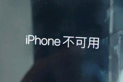 岭东苹果服务网点分享锁屏界面显示“iPhone 不可用”如何解决 