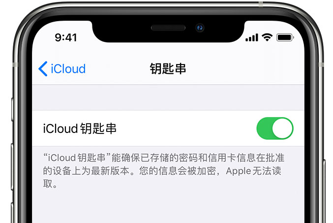 岭东苹果手机维修分享在 iPhone 上开启 iCloud 钥匙串之后会储存哪些信息 