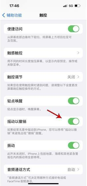 岭东苹果手机维修分享iPhone手机如何设置摇一摇删除文字 