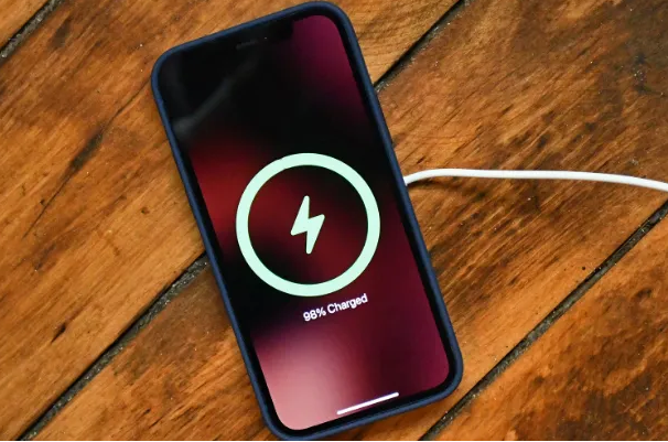 岭东苹果手机维修分享iPhone如何正确充电 