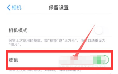岭东苹果13维修分享iPhone13拍照有绿点是怎么回事 
