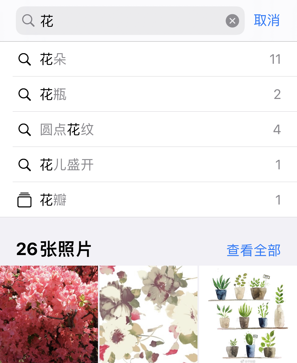 岭东苹果手机维修分享iPhone 小技巧 