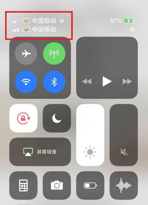岭东苹果手机维修分享为 iPhone 12 双卡设置标签 