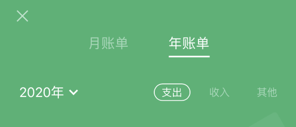 岭东苹果手机维修分享如何在 iPhone 上查看支付宝和微信年支出账单 